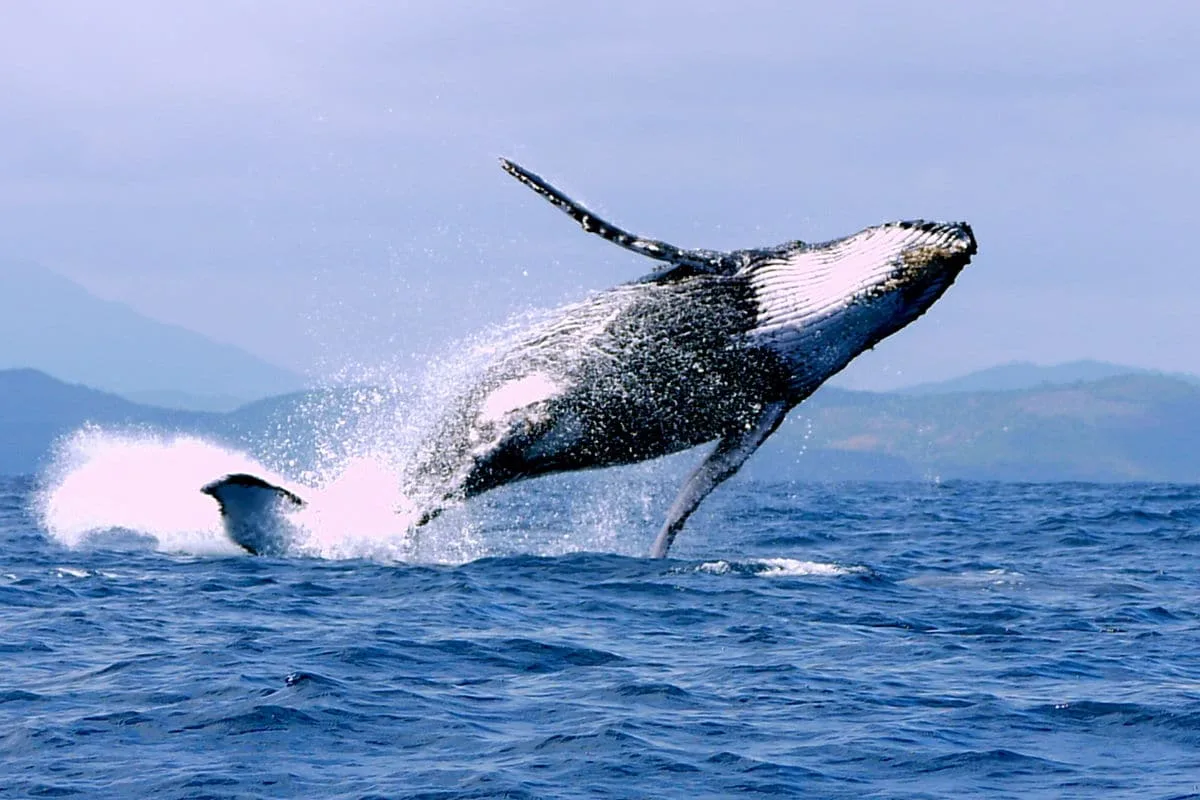 Blue Madagasikara Tours