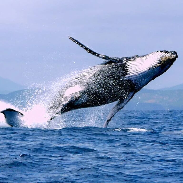 Blue Madagasikara Tours