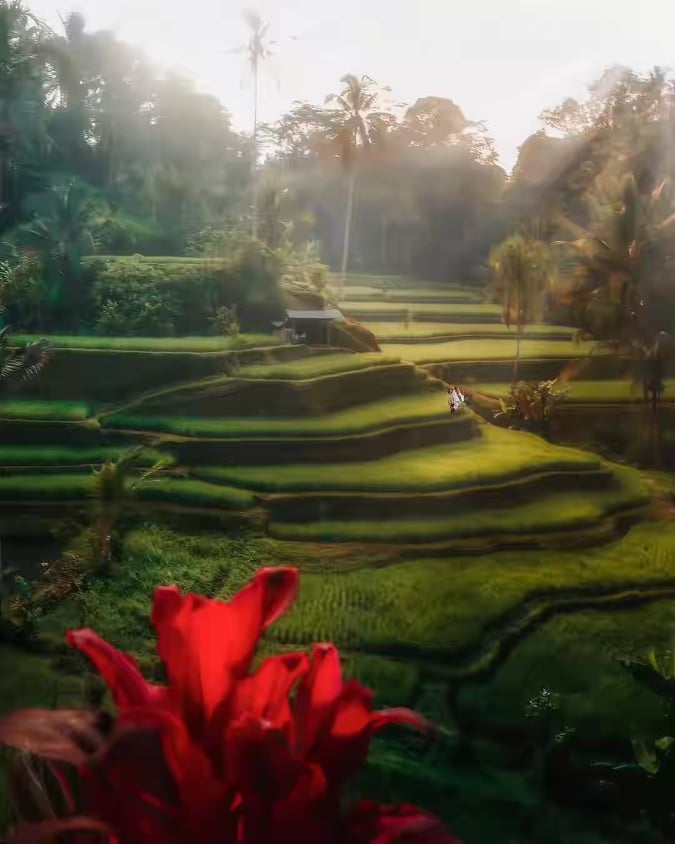 Tuti's Bali Private Tours