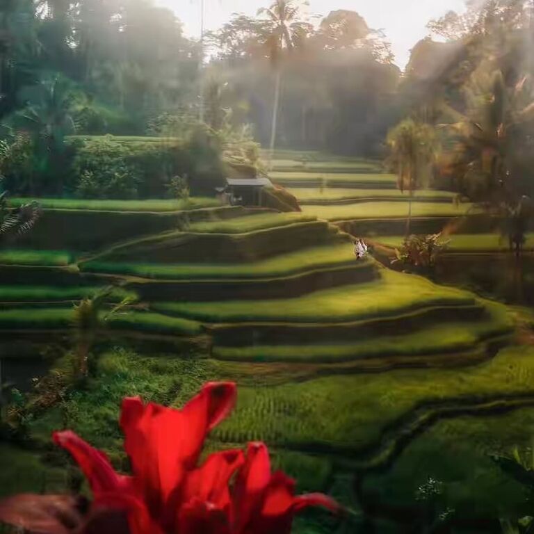 Tuti's Bali Private Tours
