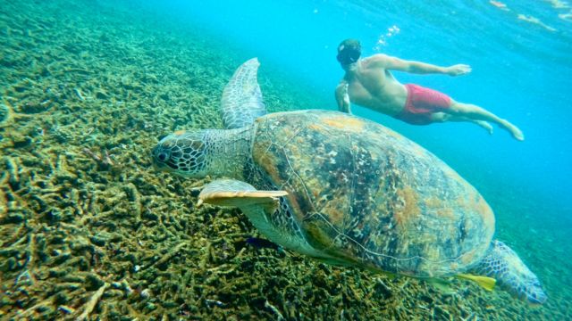 Royal Mariblue Co.,Ltd.