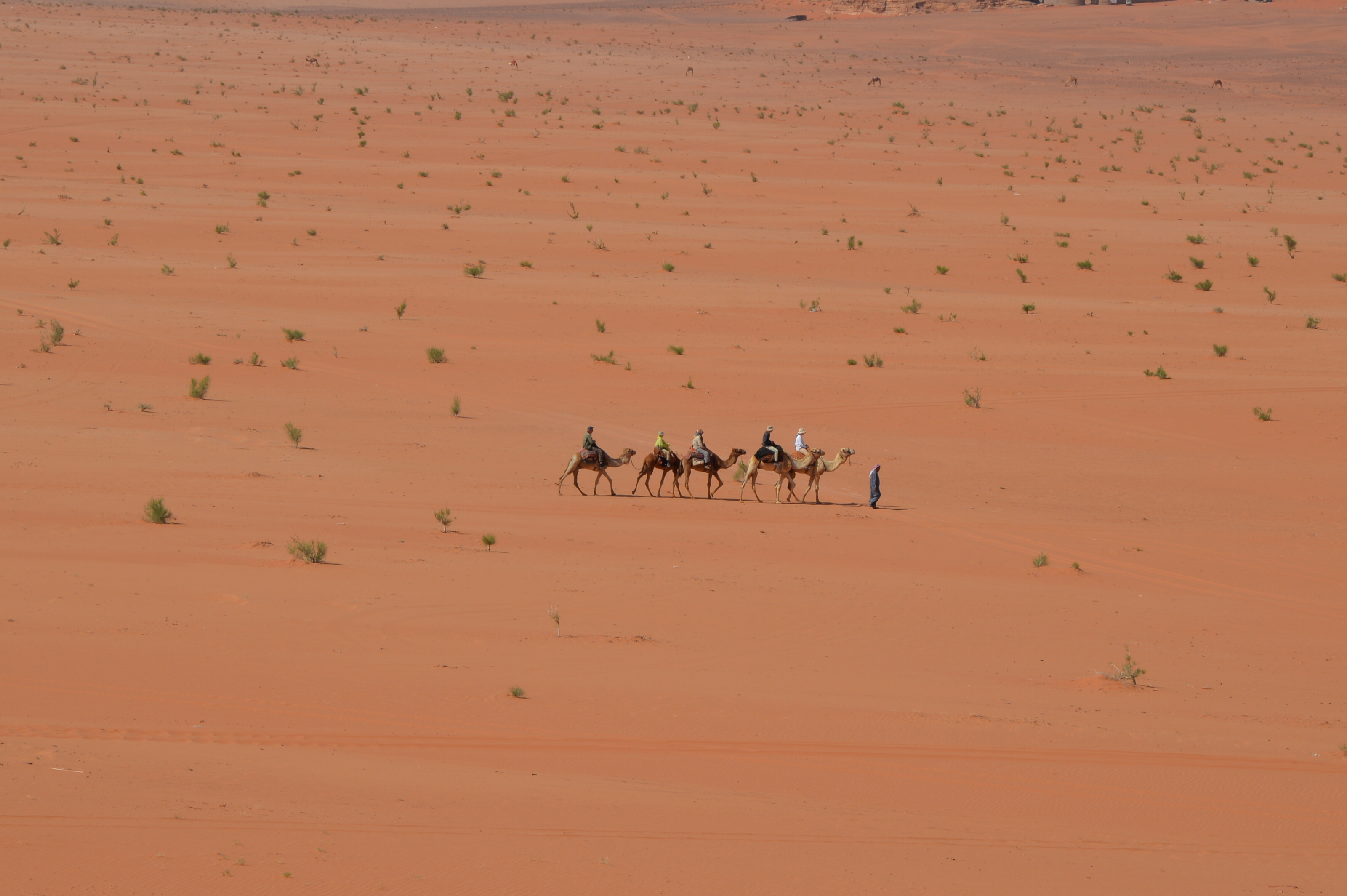 Bahaa Destinations