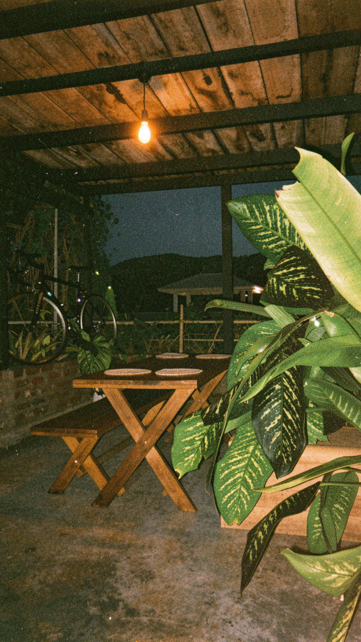 Deck On The Hills