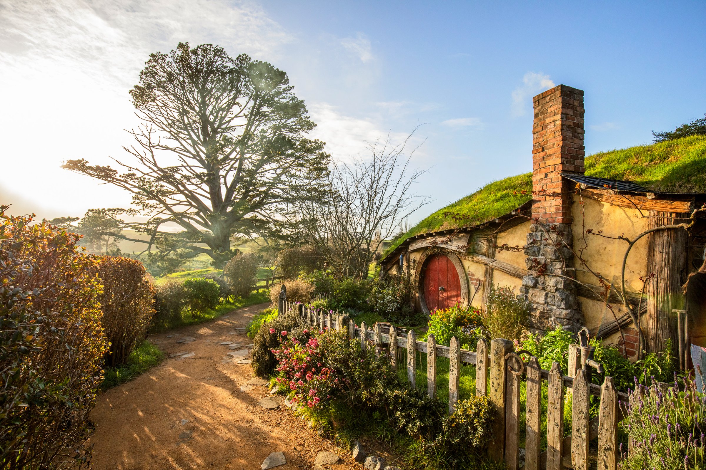 NZ Tourism Tours