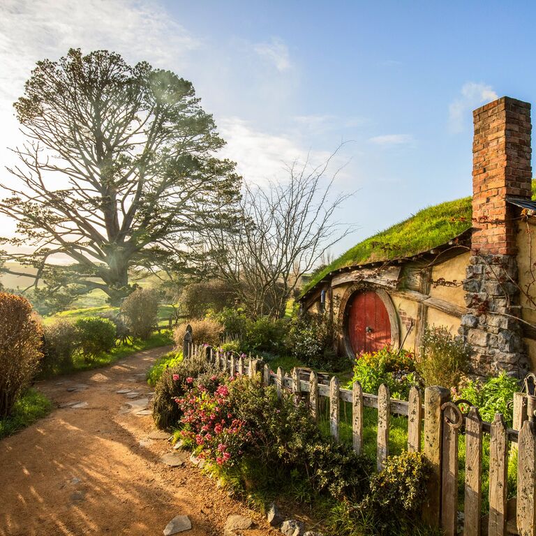 NZ Tourism Tours