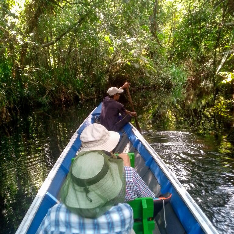 3D2N.Orangutan Borneo Tour