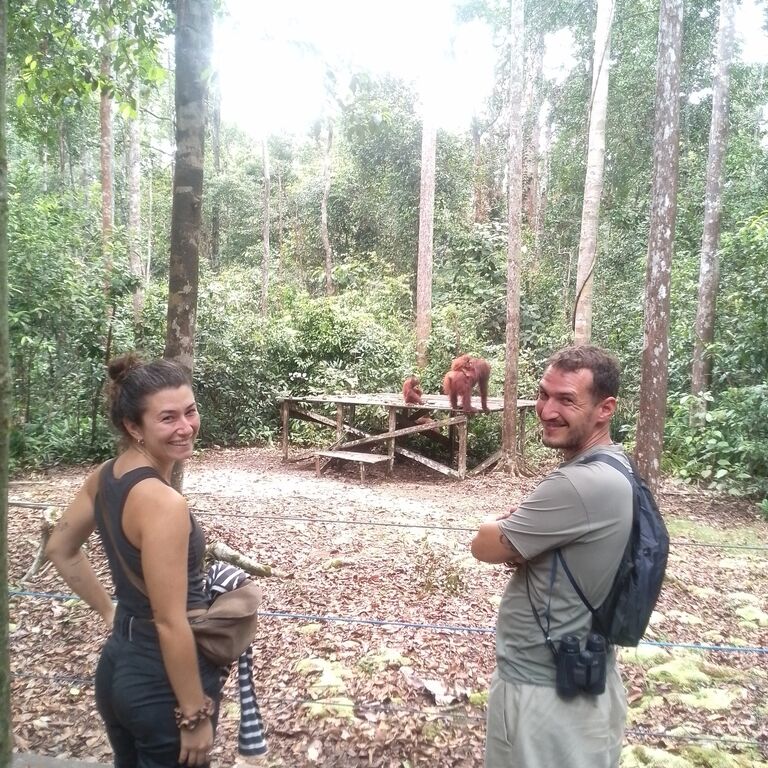 3D2N.Orangutan Borneo Tour