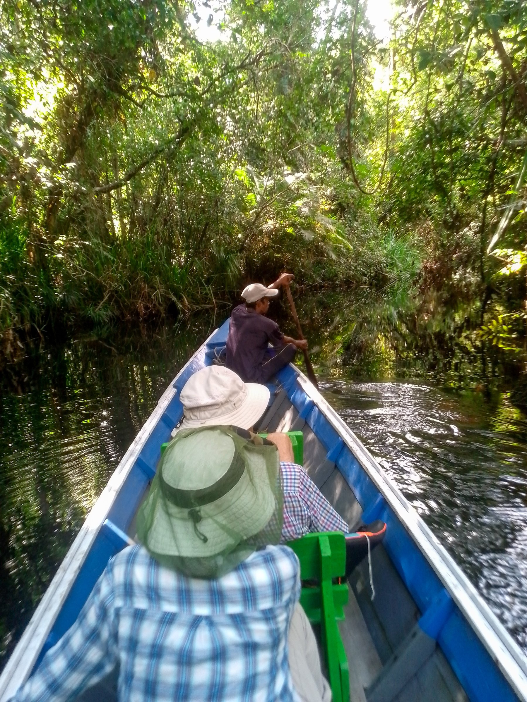 3D2N.Orangutan Borneo Tour
