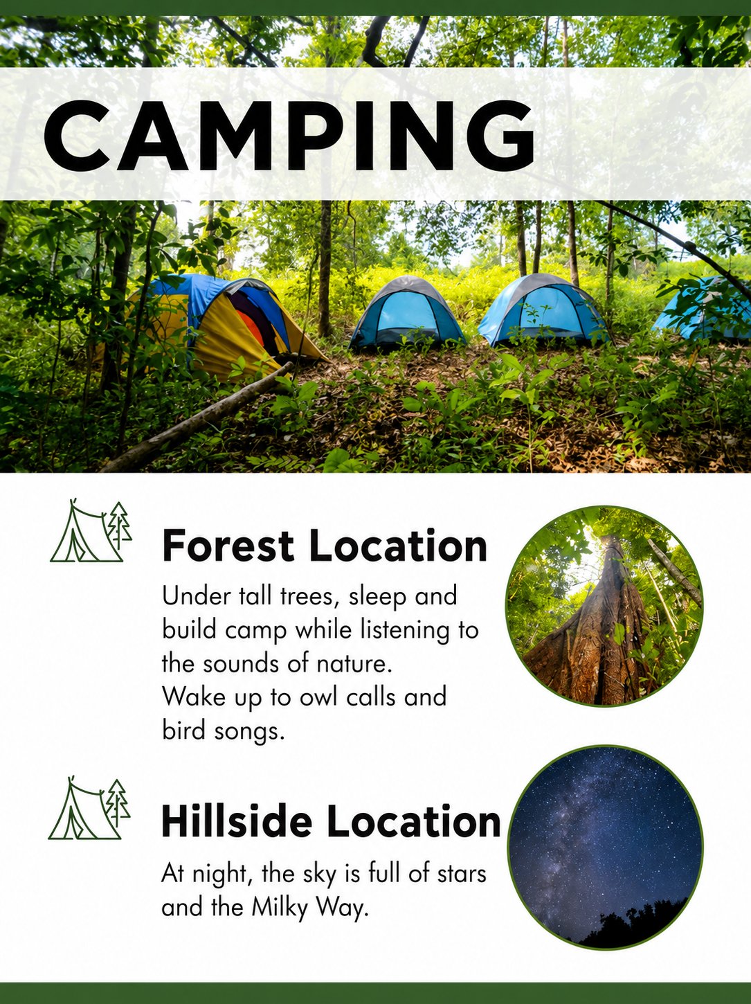 5D4N. Orangutan Camping Tour