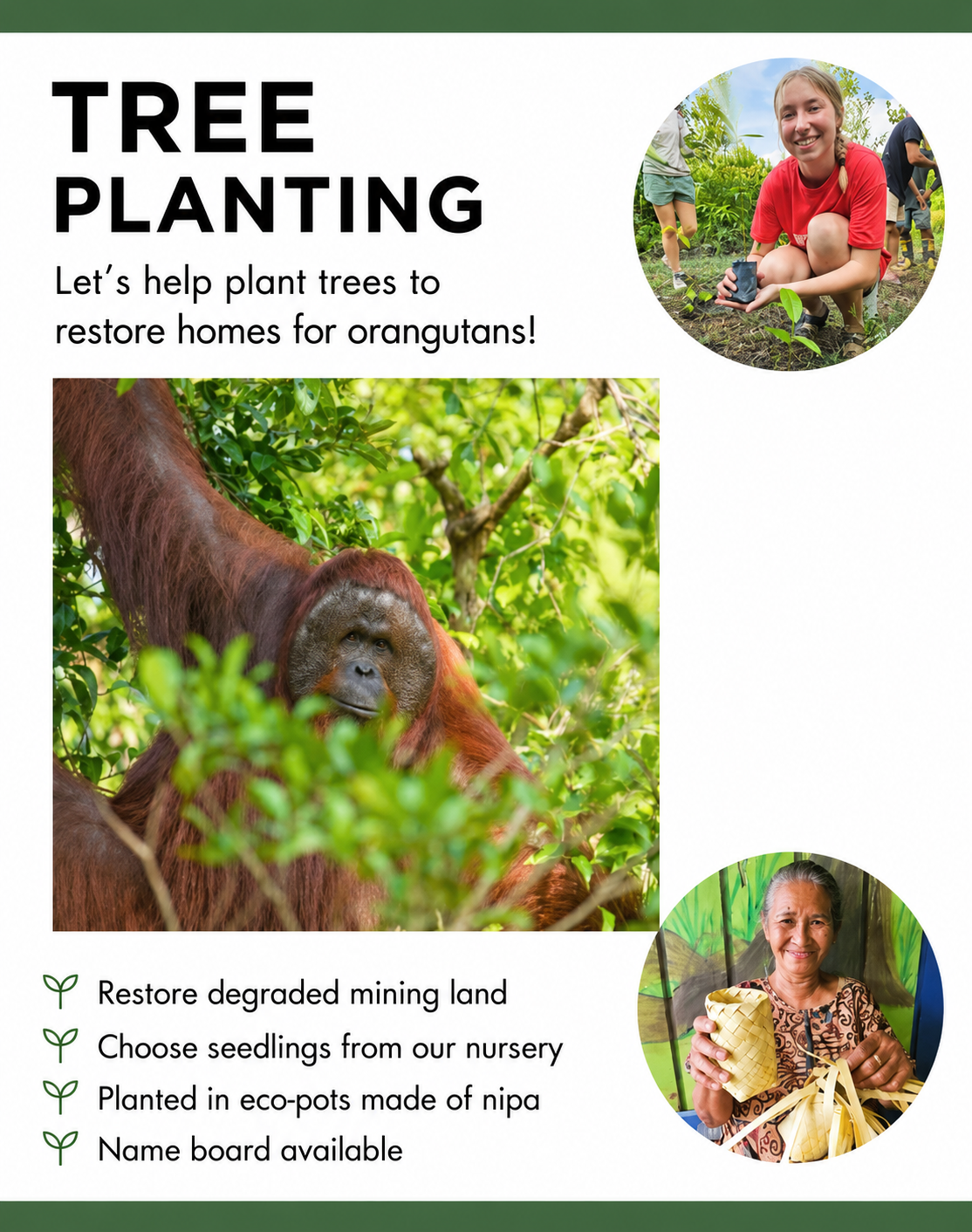 5D4N. Orangutan Camping Tour