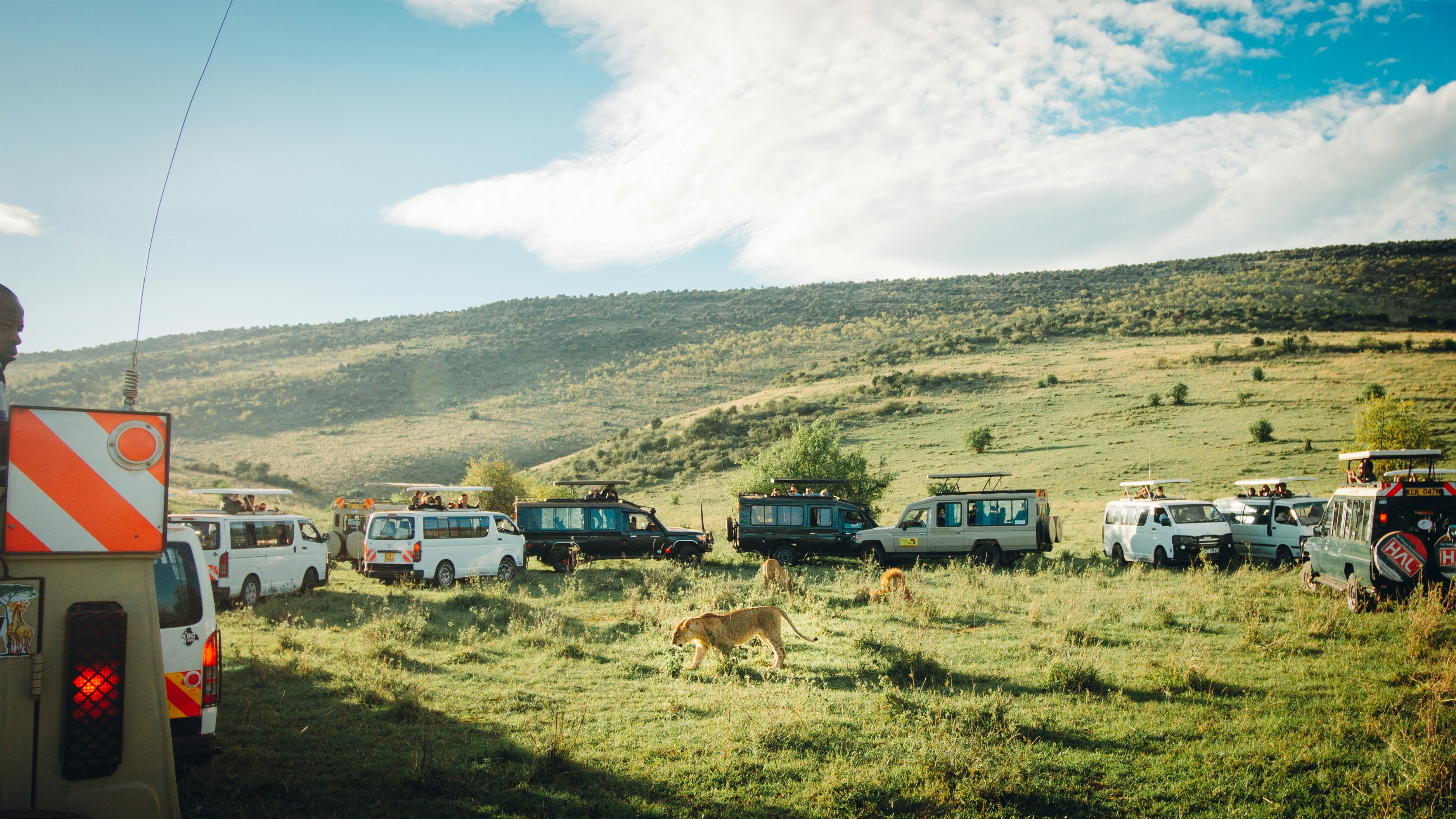 ALMOND SAFARIS LIMITED