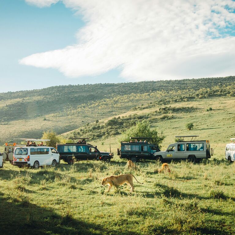 ALMOND SAFARIS LIMITED