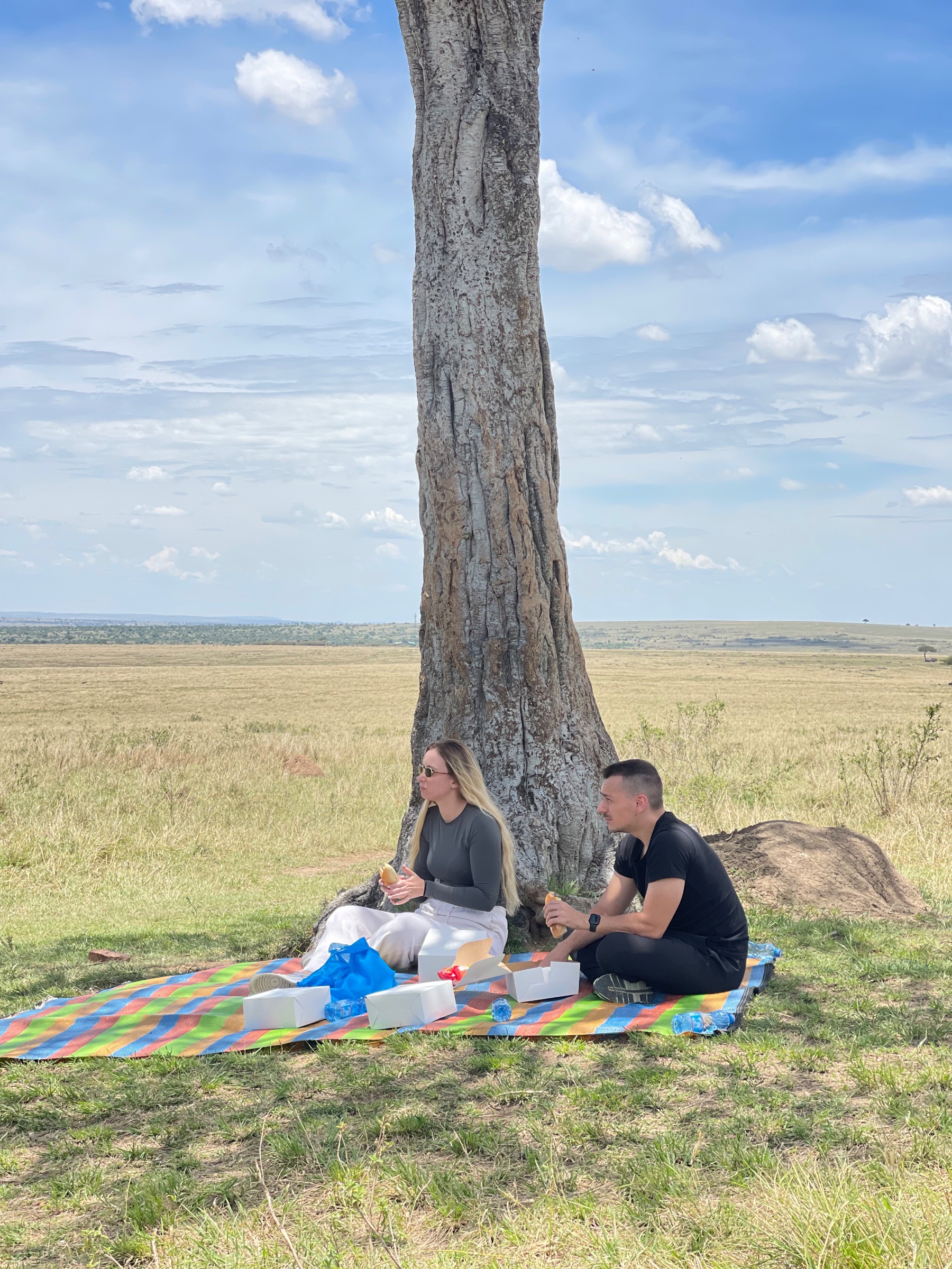 lionet africa travel