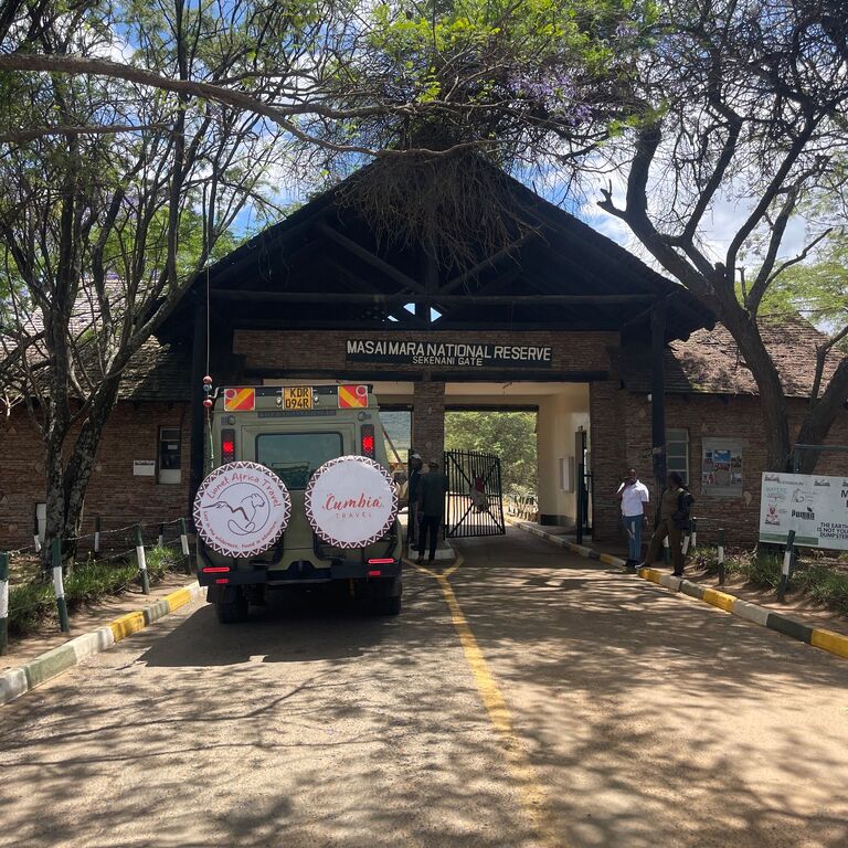 lionet africa travel