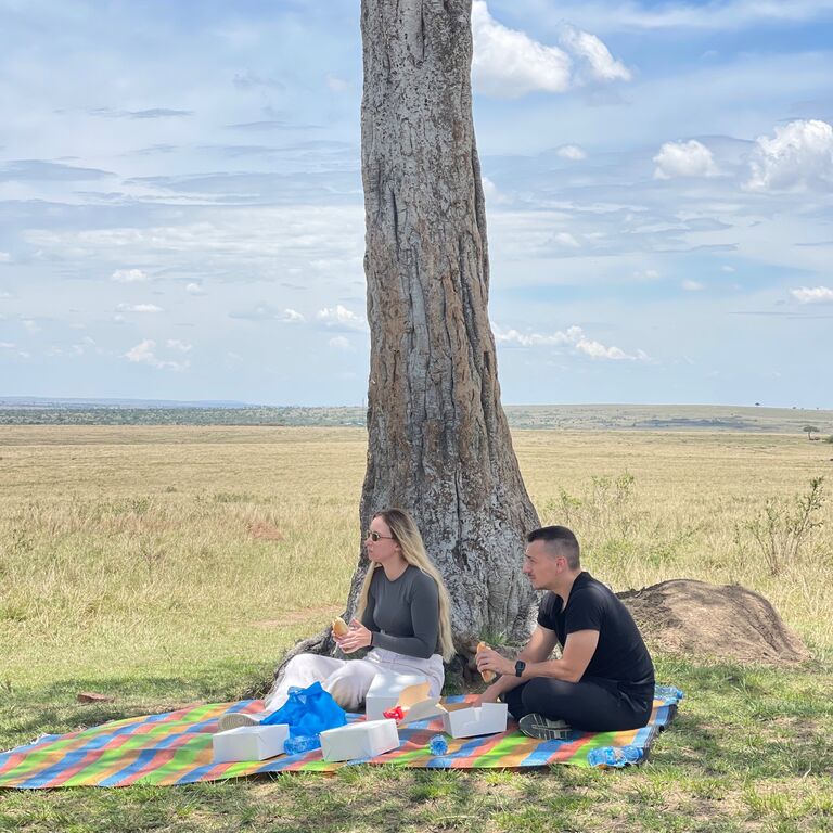 lionet africa travel