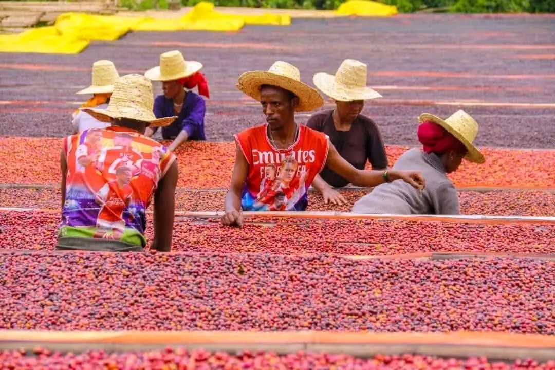 Yihun Ethiopia Tours
