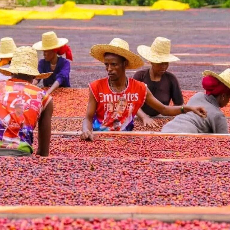 Yihun Ethiopia Tours