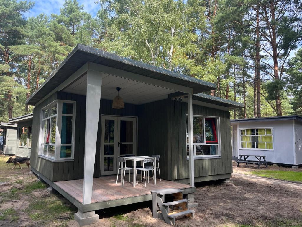 Camp Bursztynowy Las