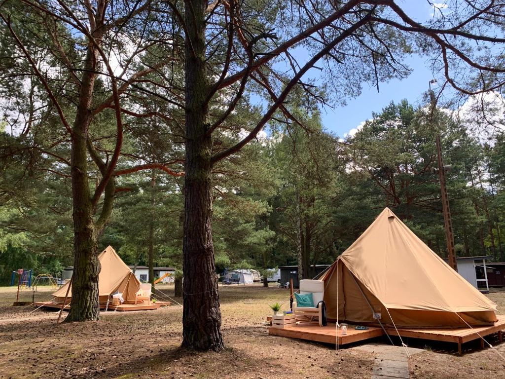 Camp Bursztynowy Las