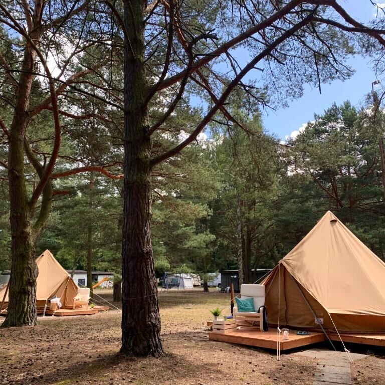 Camp Bursztynowy Las