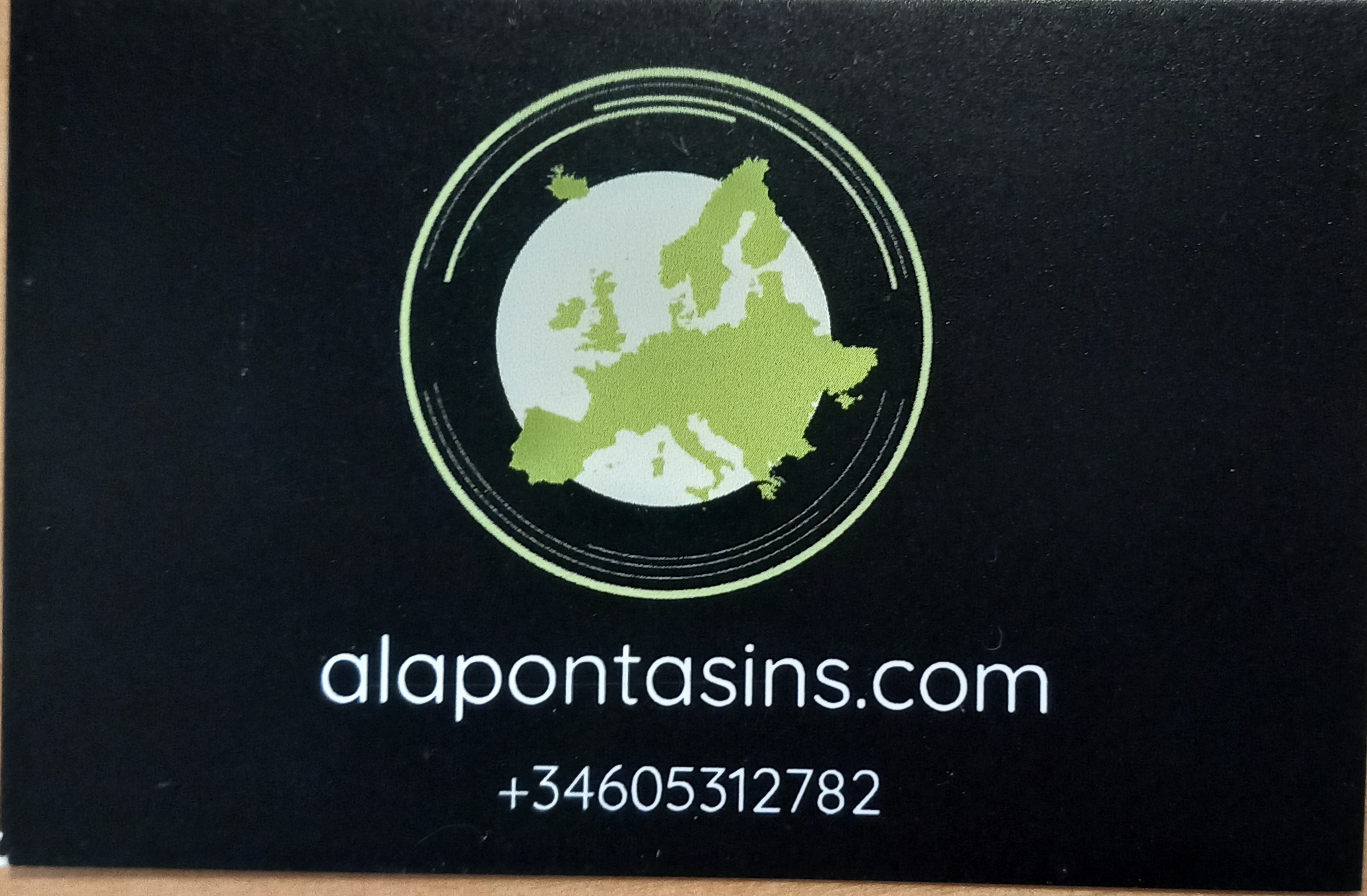 alapontasins.com