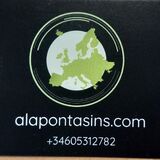 alapontasins.com