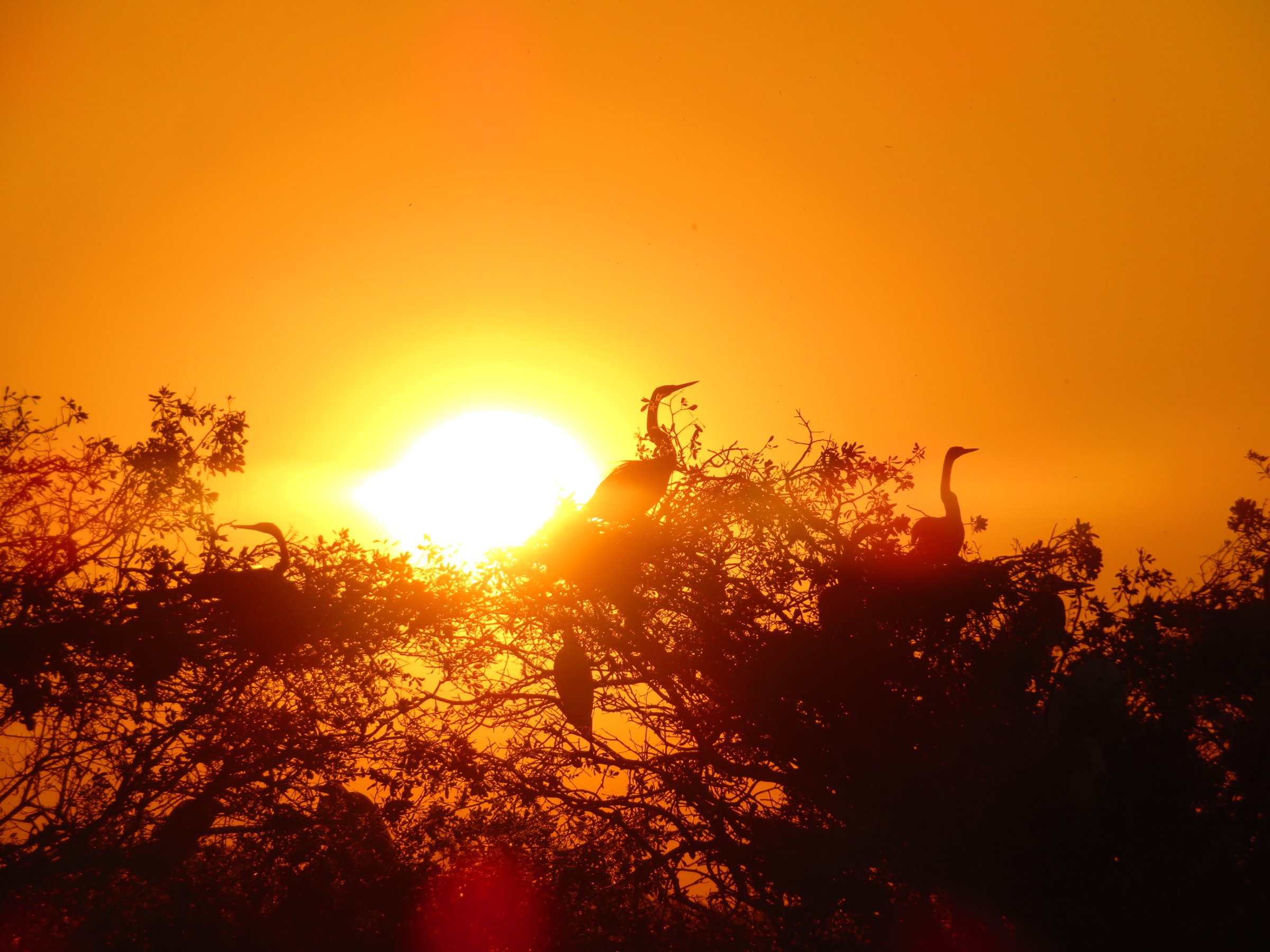 4 Days - Makgadikgadi