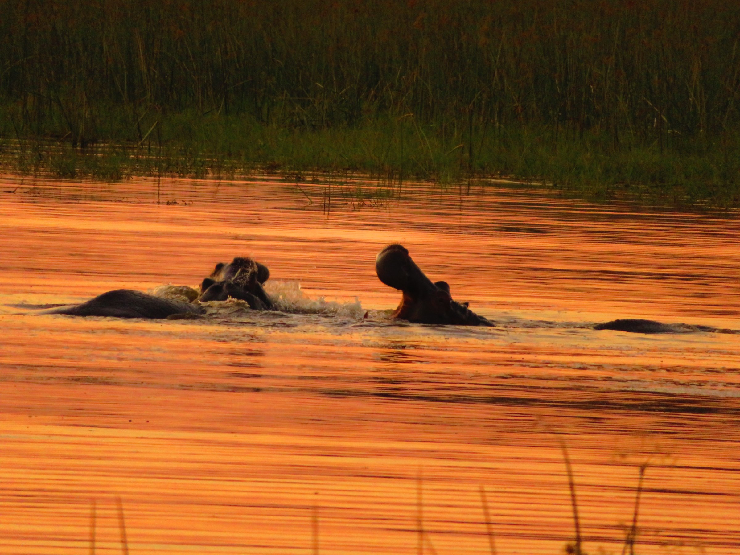 3 Days- Okavango Delta