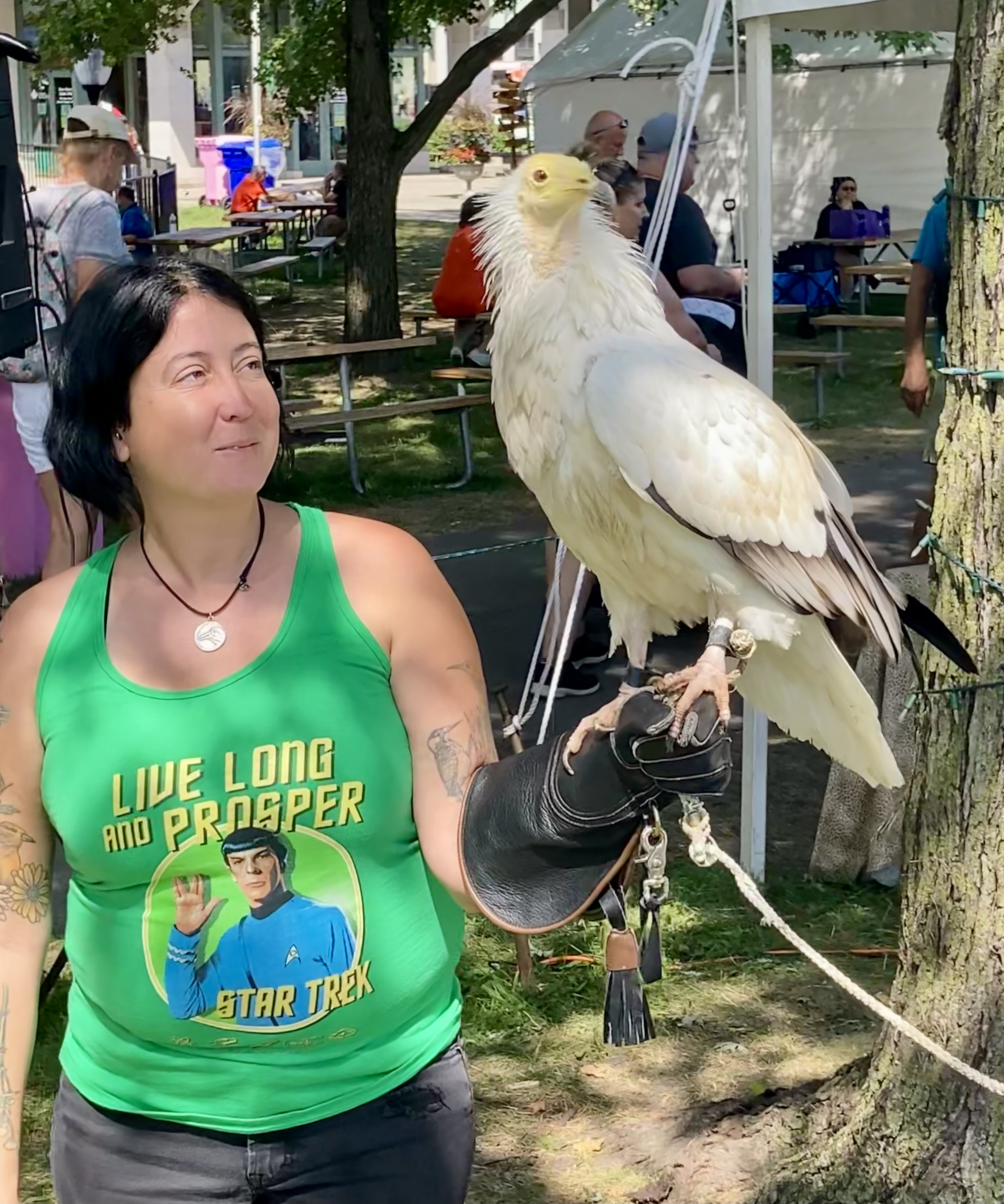 Archaeopteryx Birding and Nature Tours