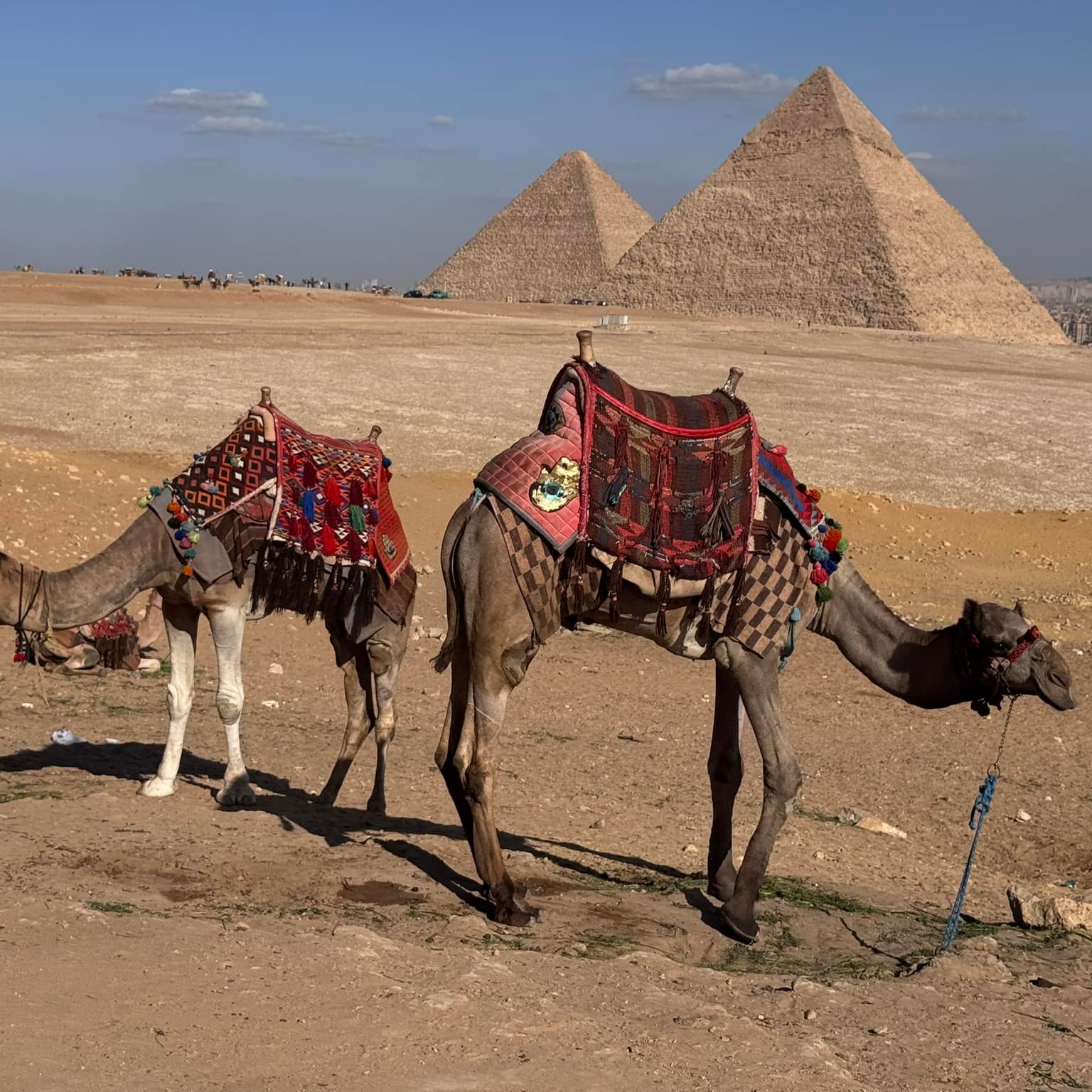 Budget Tour Egypt
