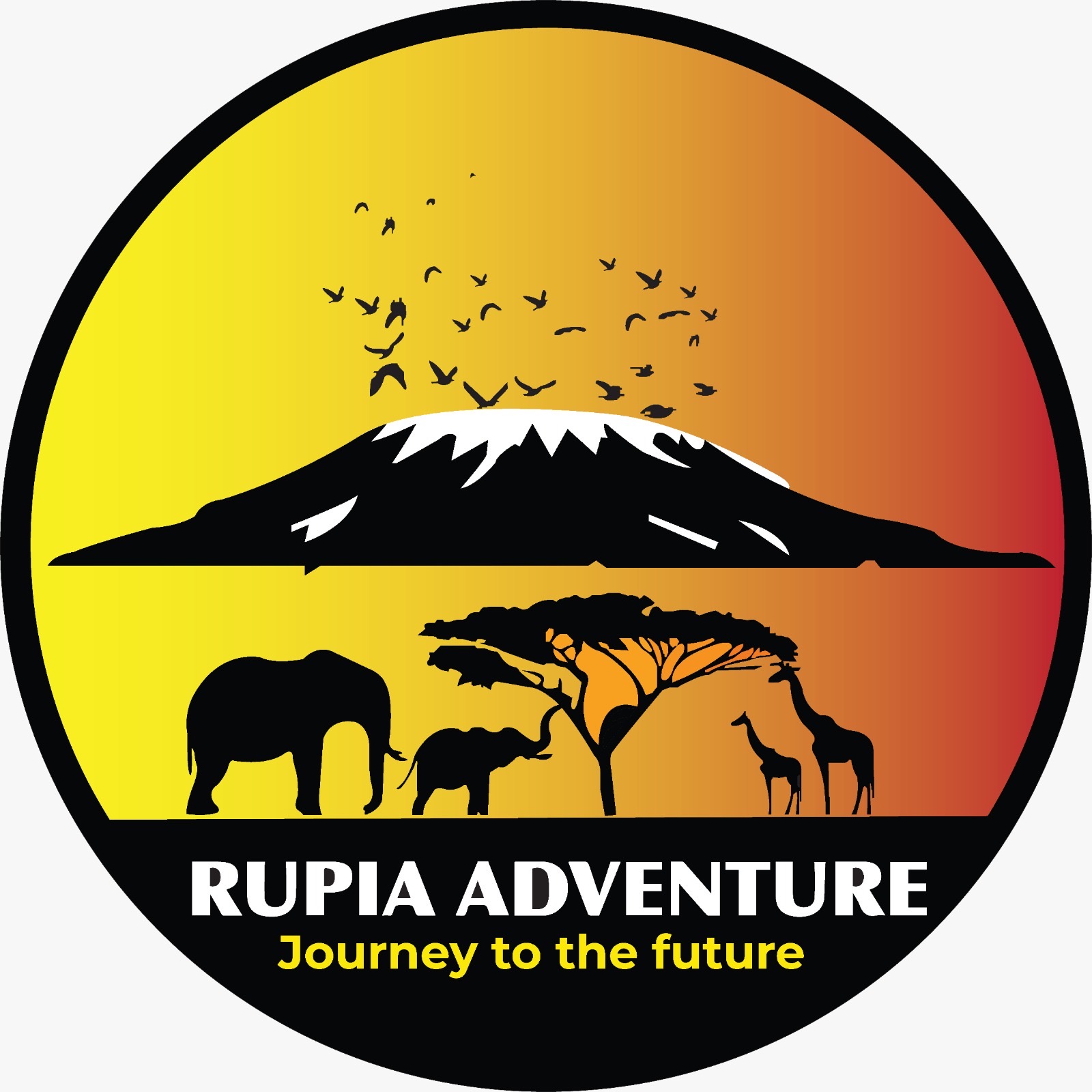 3 Days Tanzania Safari
