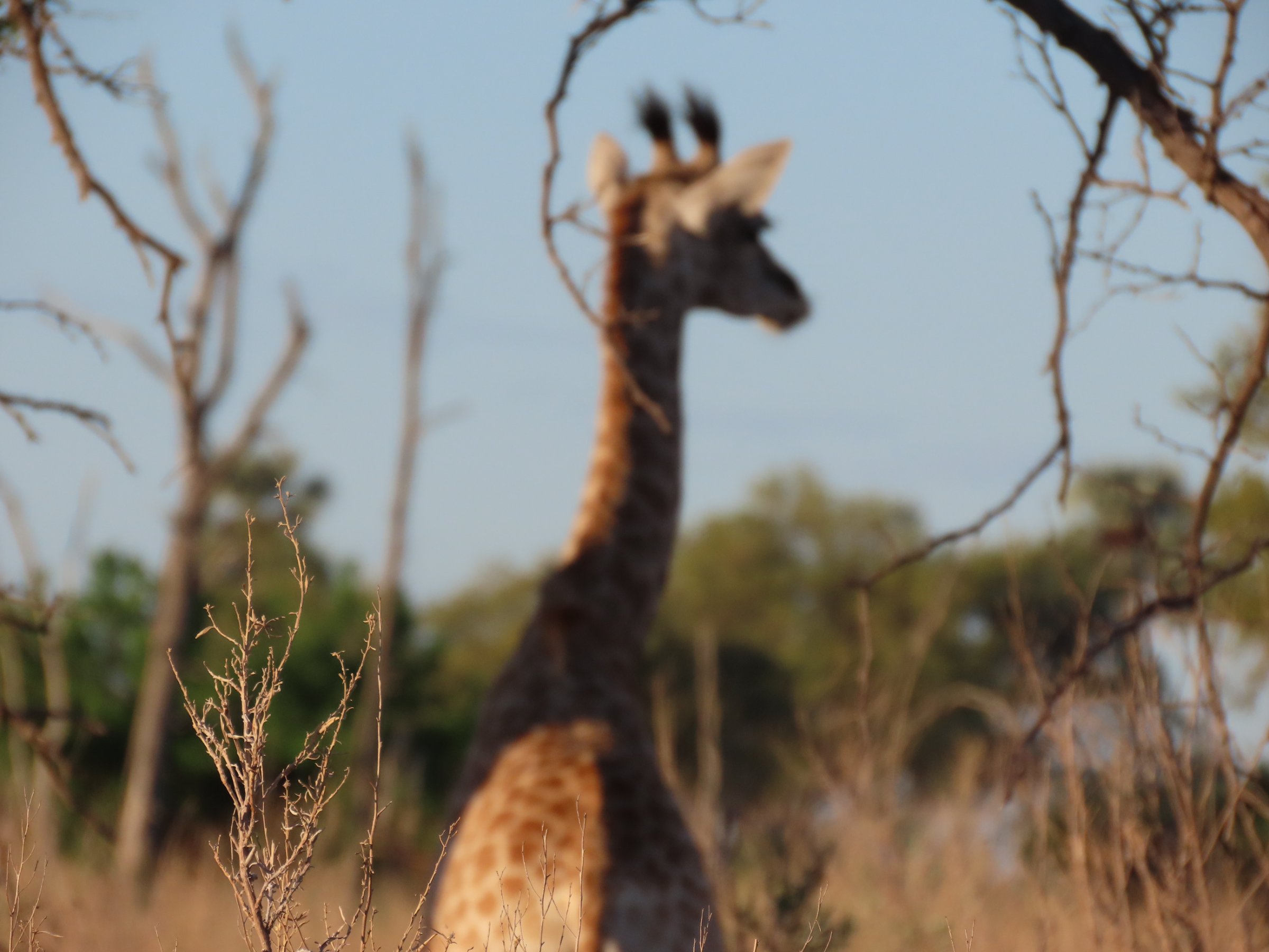 3 Days - Makgadikgadi Salt Pan