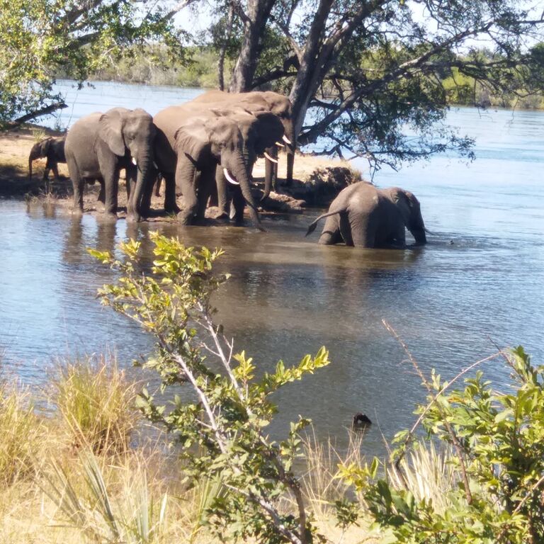 Mukwato