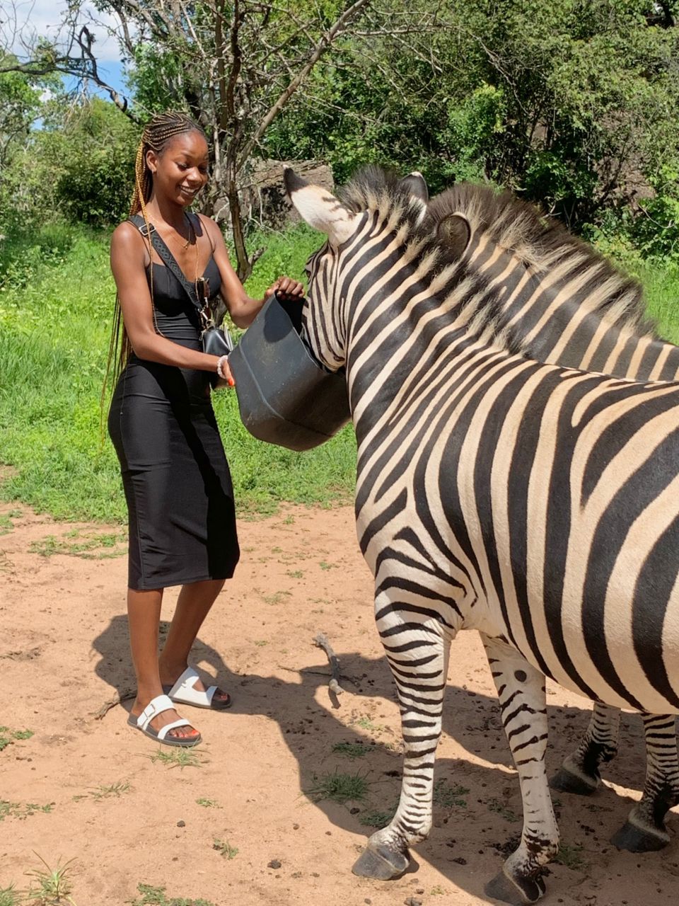 Wolf Travel ZW