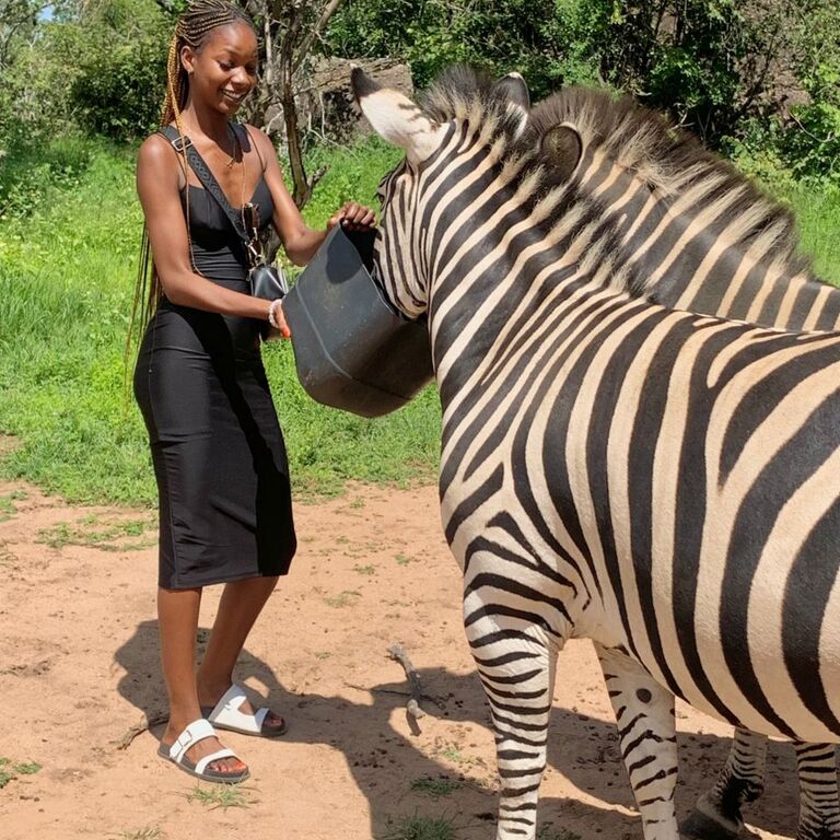 Wolf Travel ZW