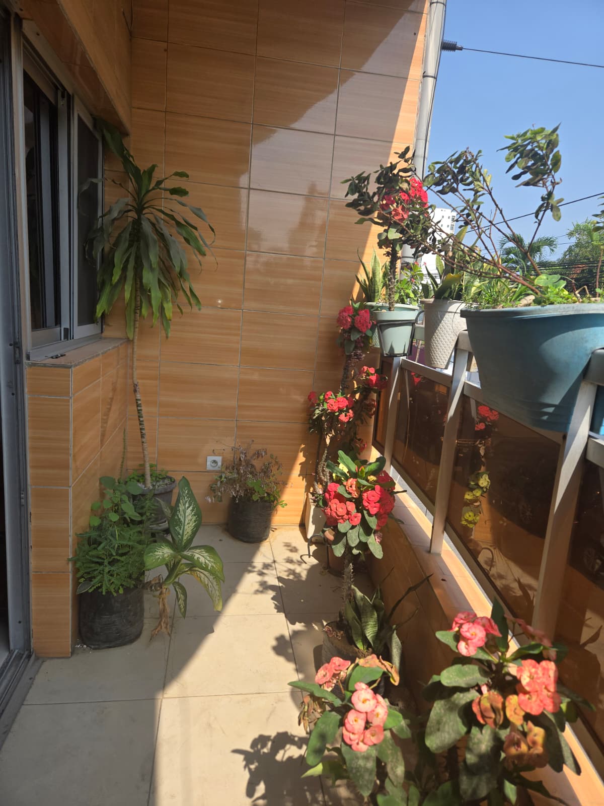 Providence Guest House and Cat