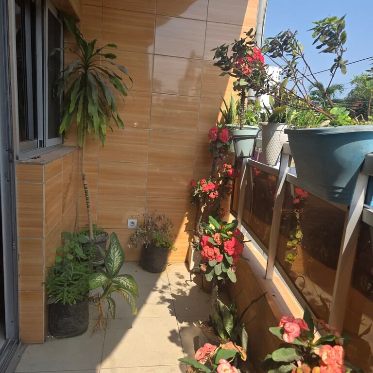 Providence Guest House and Cat