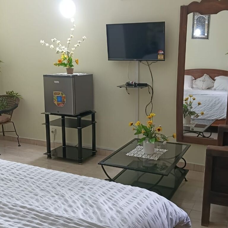 Providence Guest House and Cat
