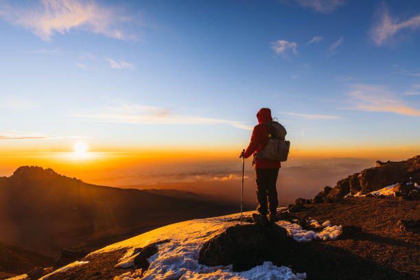 WalkWild Adventures
