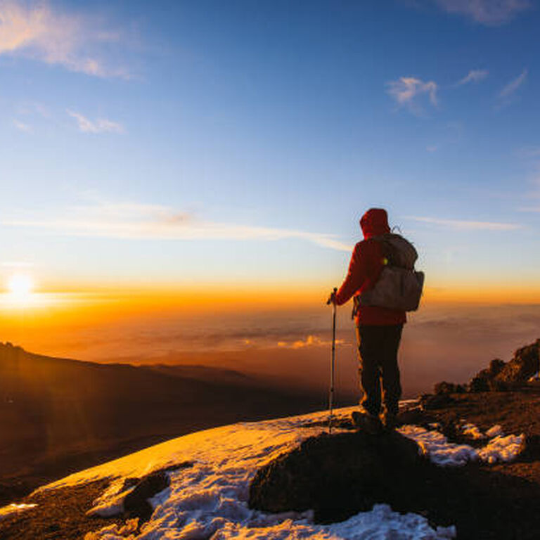 WalkWild Adventures