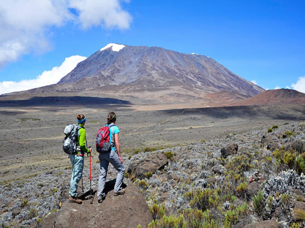 SUMMITTREKKINGANDSAFARIS