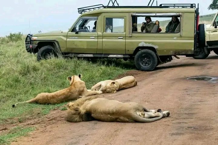 Lejama Tours