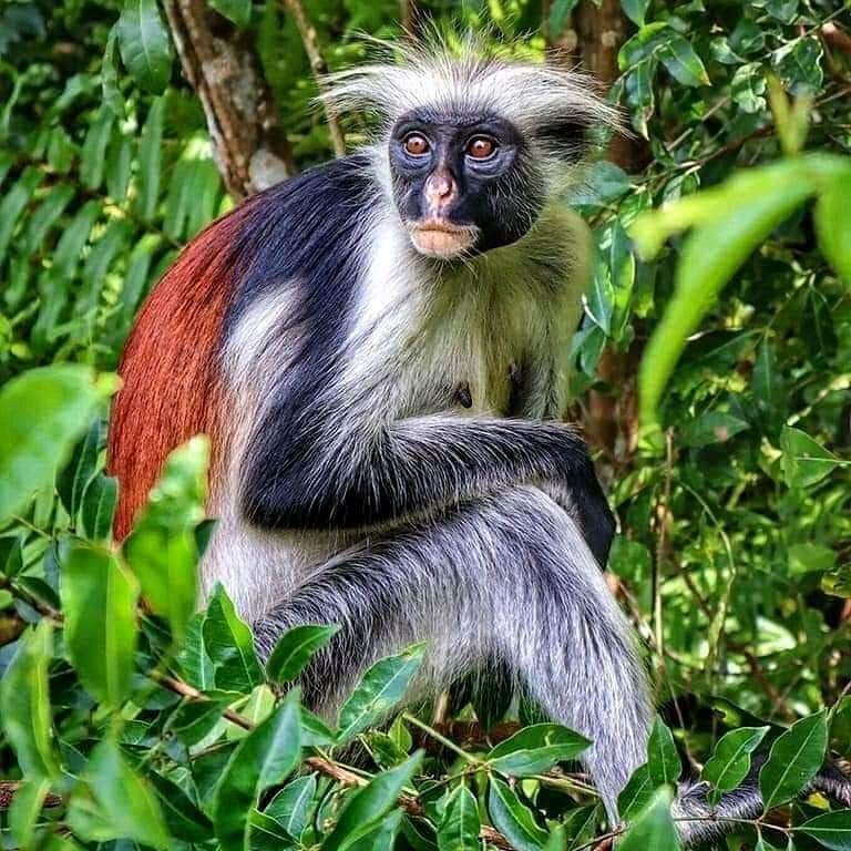 Andiamozenjtours.com