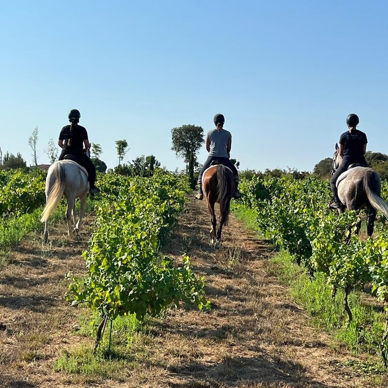 Clos de Basella