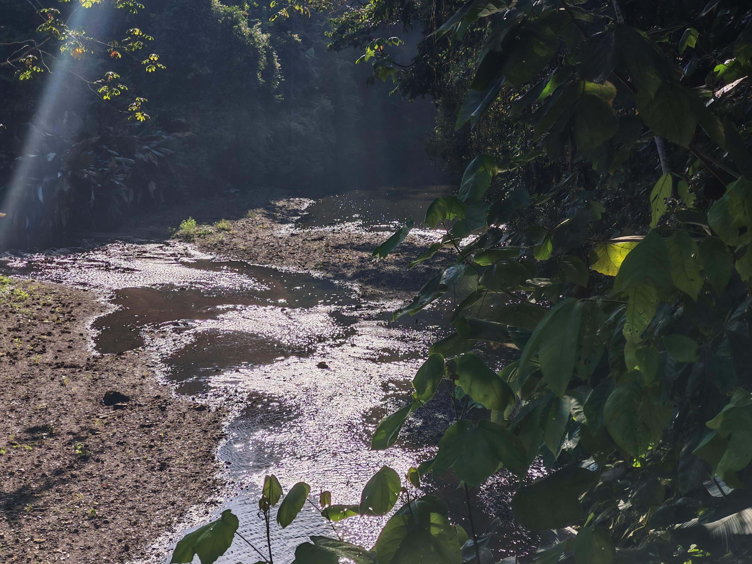 Río Agujitas Eco Jungle