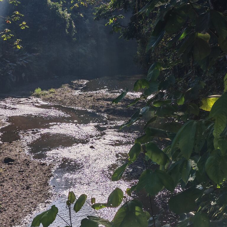 Río Agujitas Eco Jungle