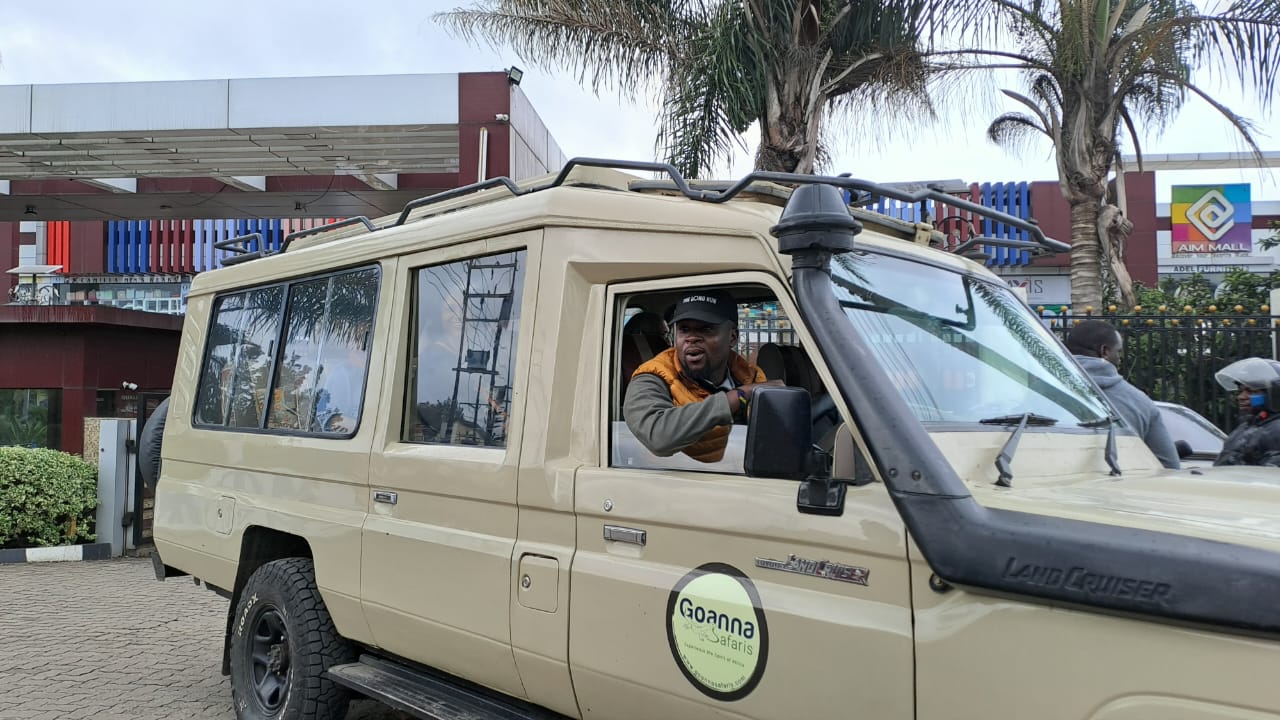 Goanna Safaris