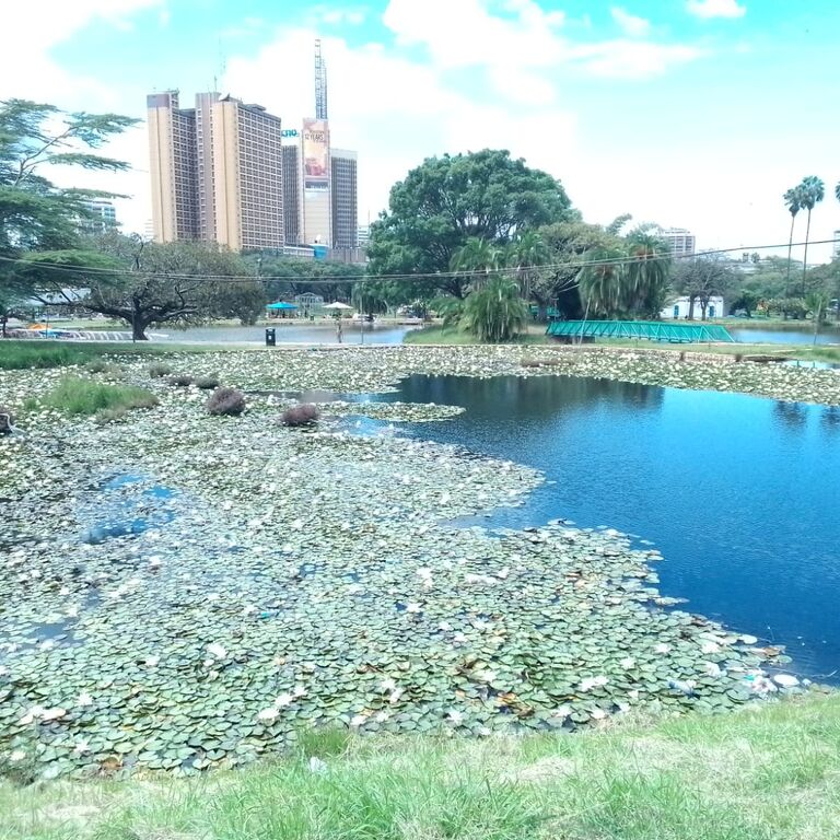 Nairobi Magical Tours