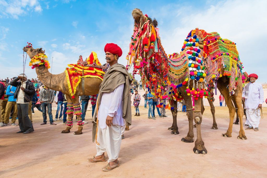 rajputana india tours