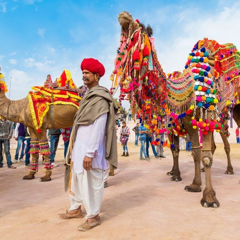 rajputana india tours